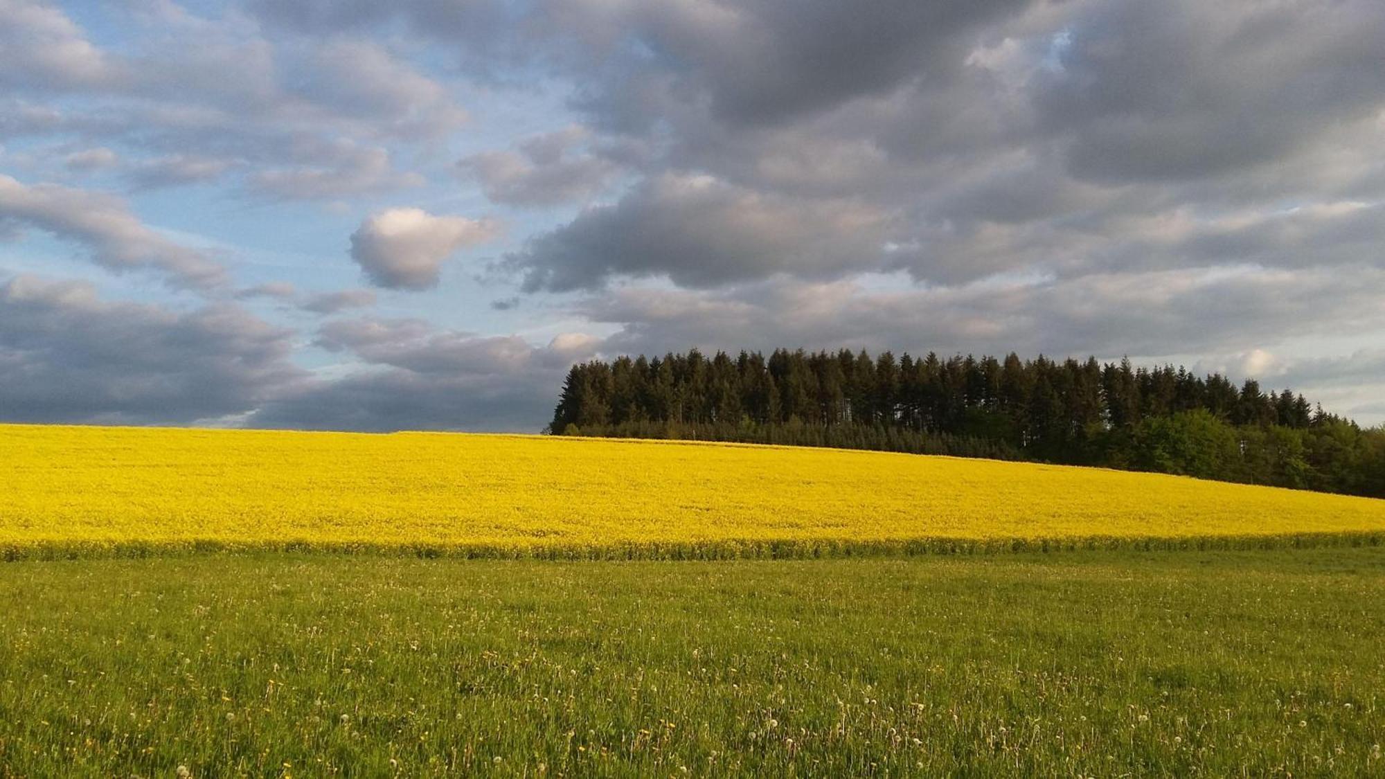 Ferienwohnung-Freuen Blankenheim  Exteriér fotografie